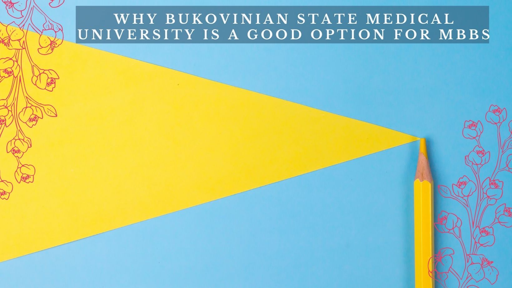 WHY BUKOVINIAN STATE MEDICAL UNIVERSITY IS A GOOD OPTION FOR MBBS